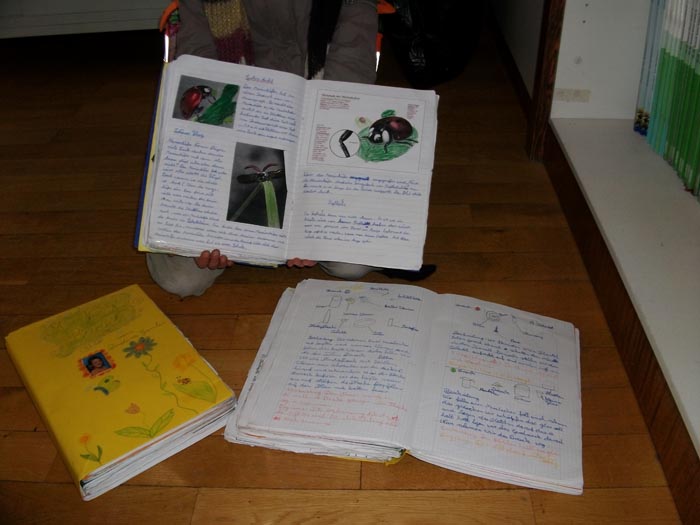 MNK-Wissensbuch