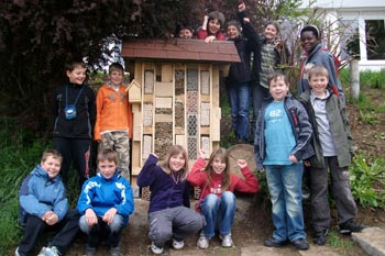 Wildbienenwand