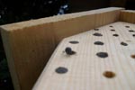 Die Wildbienenwand und ihre ersten Bewohner